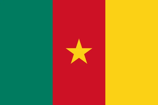 Flag of Cameroon