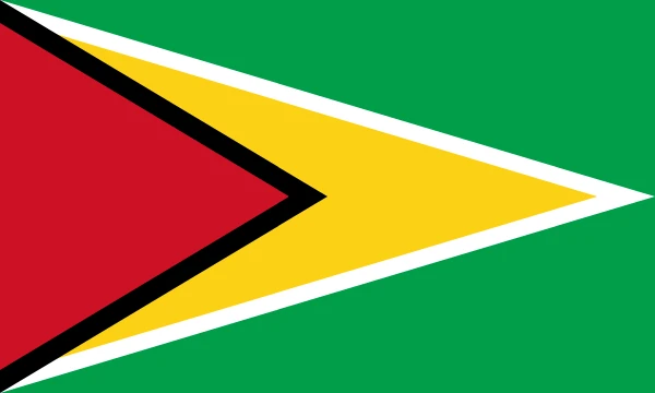 Flag of Guyana